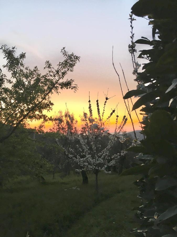 Podere di Belforte Bagno a Ripoli Eksteriør billede
