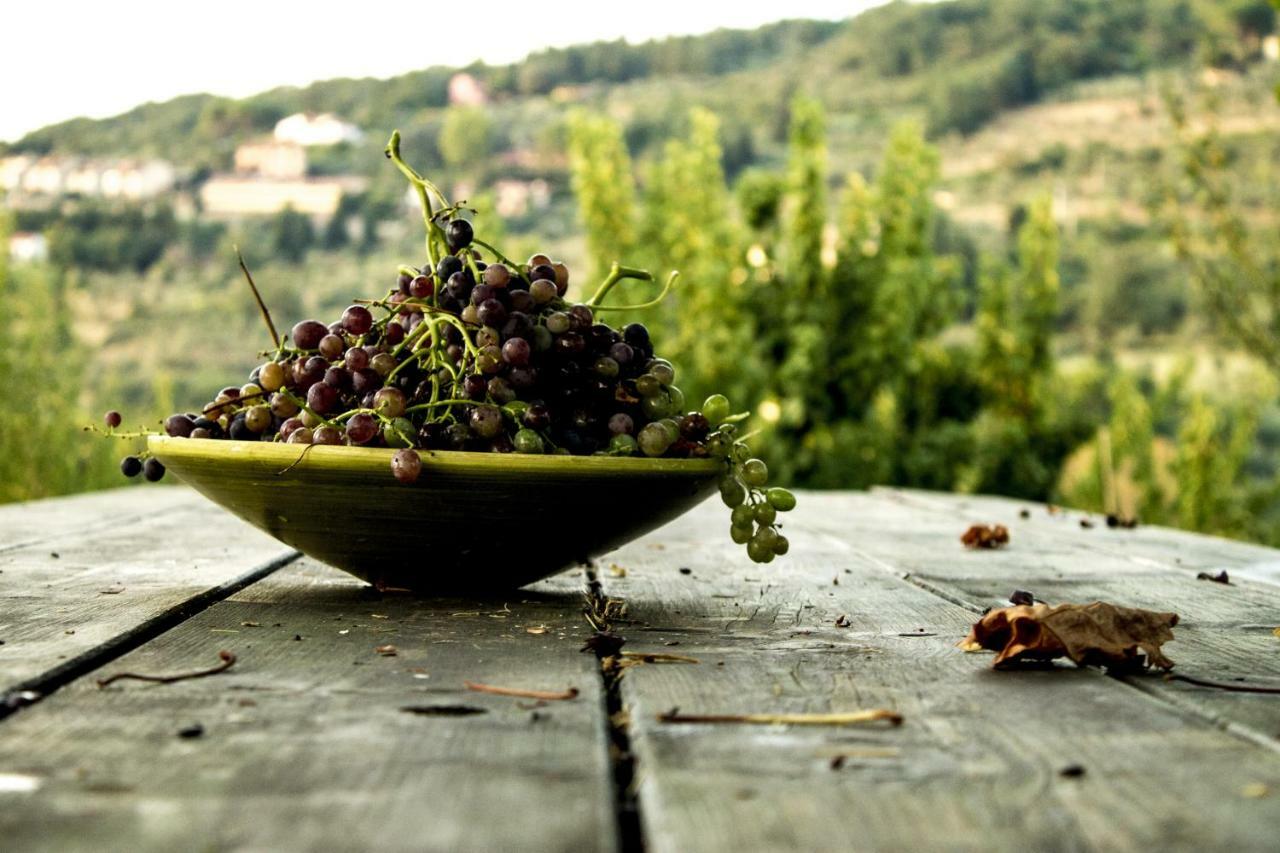 Podere di Belforte Bagno a Ripoli Eksteriør billede